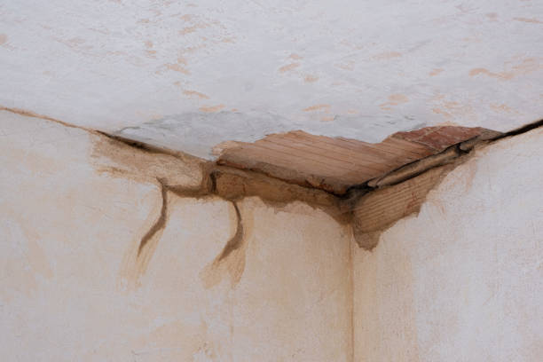 Best Flooded house restoration  in Richboro, PA