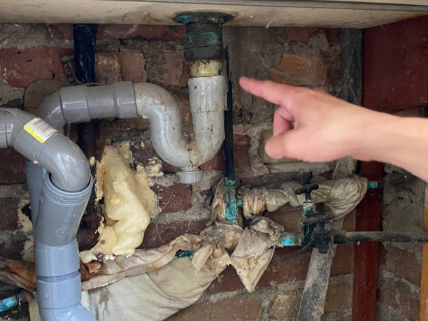 Best Carpet water damage restoration  in Richboro, PA