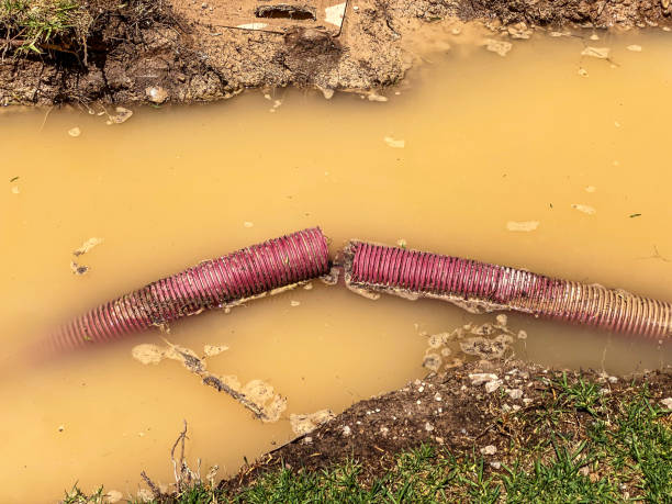 Best Water damage cleanup near me  in Richboro, PA