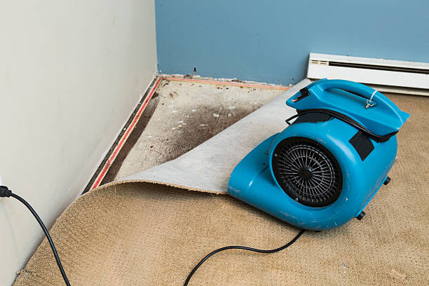 Best Fire Damage Restoration  in Richboro, PA